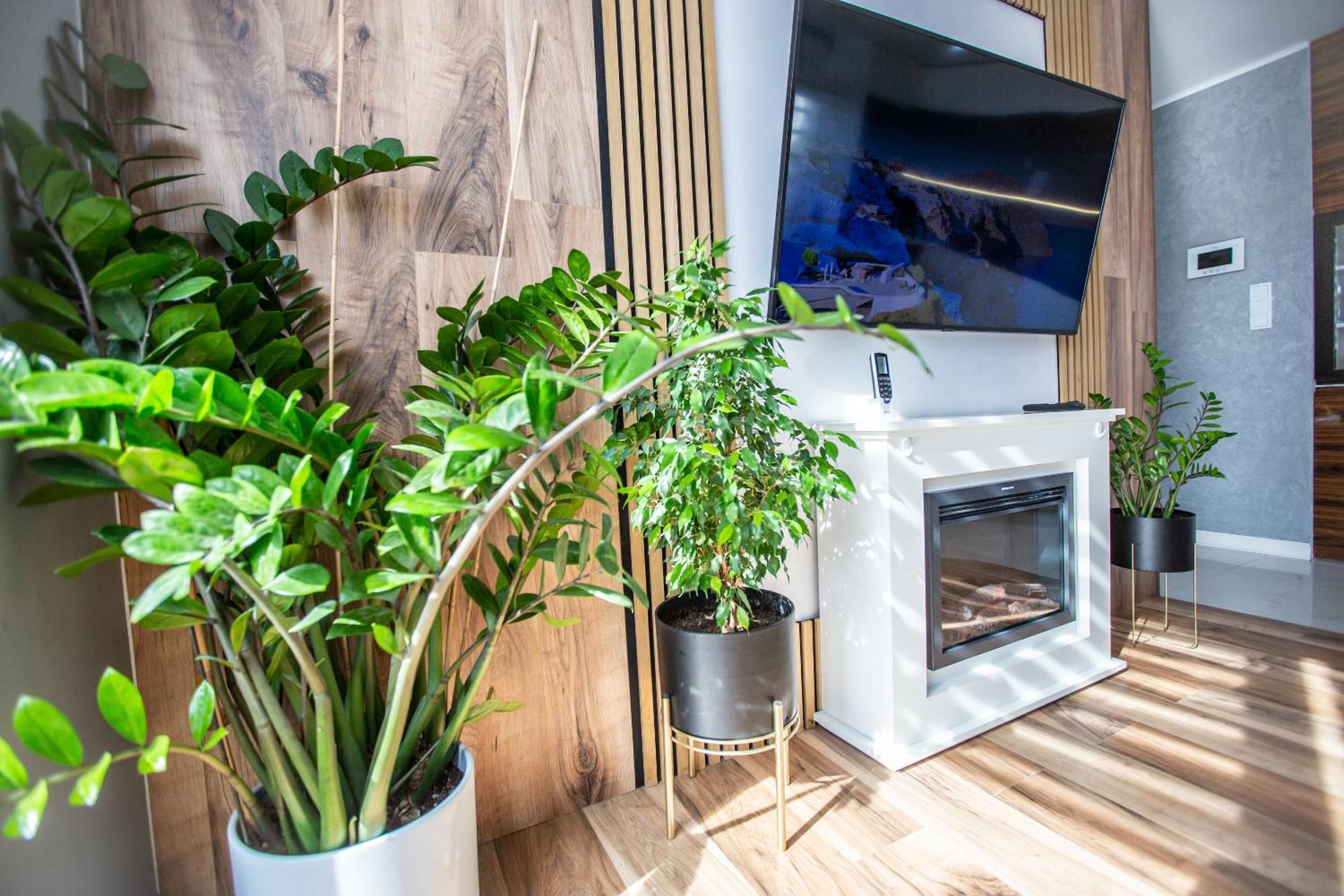 Wlodarska 4A Apartament Premium Kraków Exteriör bild
